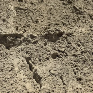sandy loam